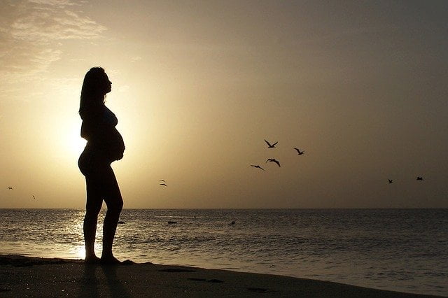 What a pregnant woman should not do?